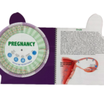 Pregnancy - ovulation book