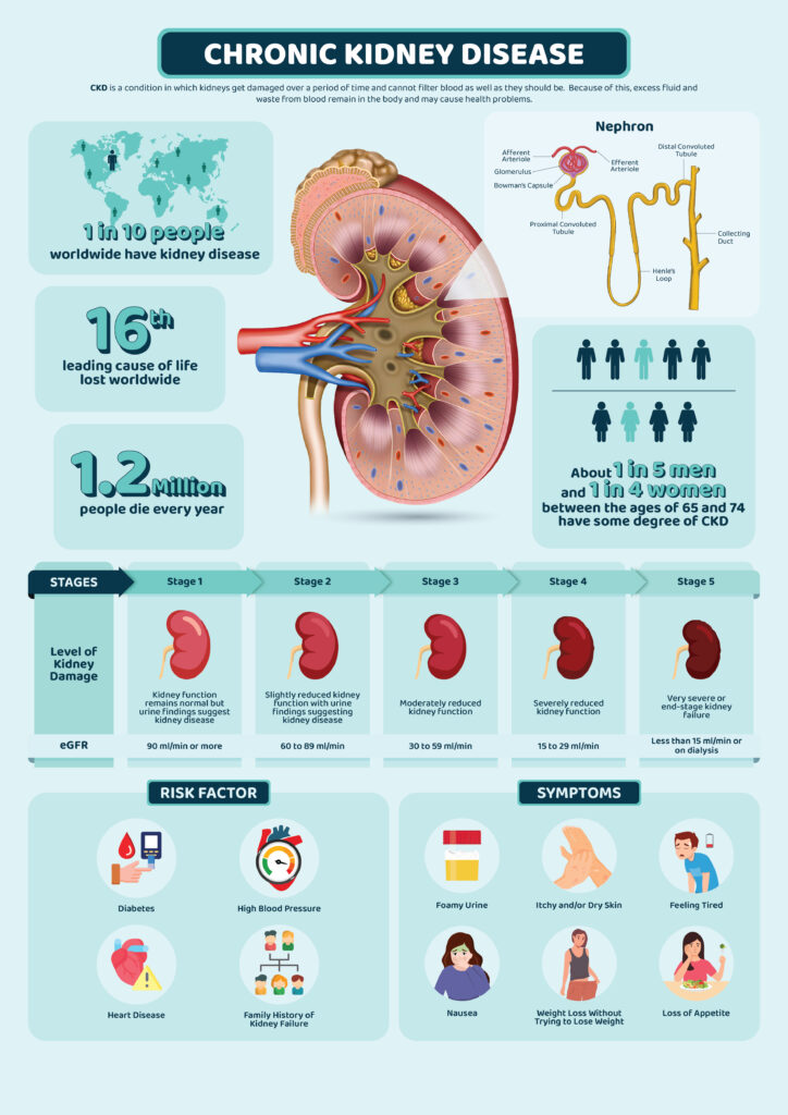 chronic kidney disease - Pharmacology Poster