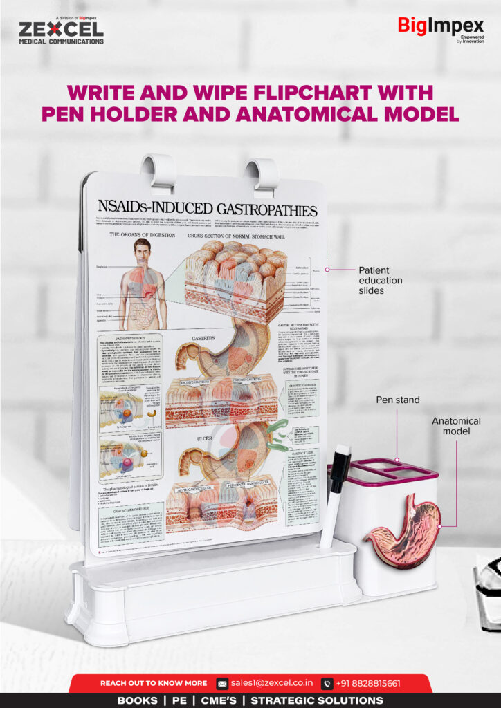 Write and Wipe stand Flipchart with Pen holder & Anatomical model